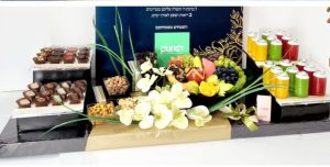 ט"ו בשבט דגם 26