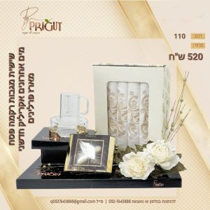 ⁦משלוח מנות דגם 110⁩