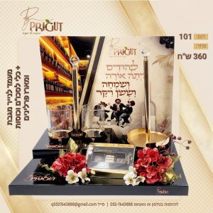 משלוח מנות דגם 101